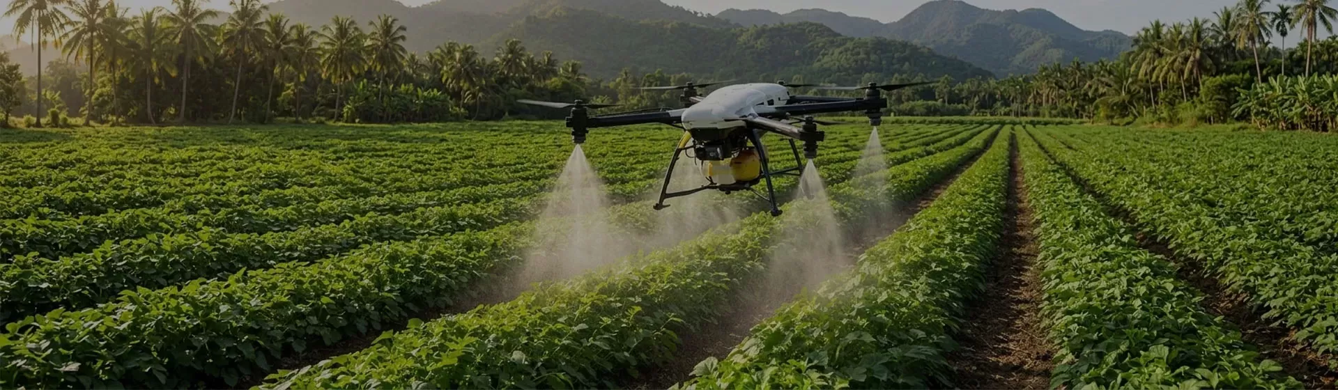 Het nut van drones