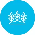Superieure terreinaanpassing