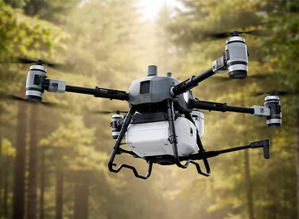 Bosbouw drones